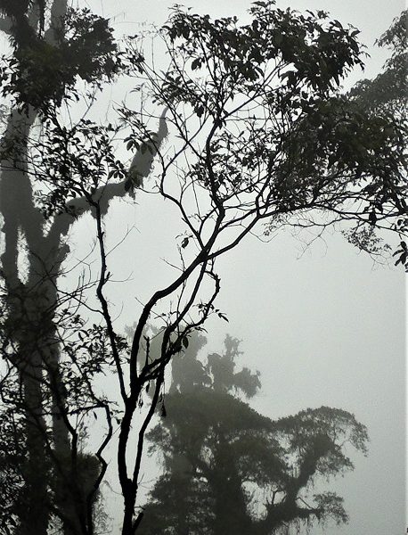 Suasana Lokasi Pertambangan Tembagapura Papua seperti planet lain!!
