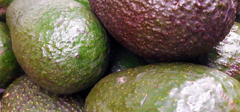 avocado Apa itu Superfood, dan Makanan Apa Saja yang Termasuk Superfood Di Jakarta ?