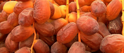 Lagi musim kurma di Jakarta bulan puasa May 2018