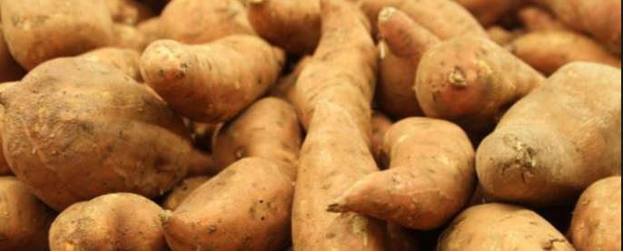 ubi Apa itu Superfood, dan Makanan Apa Saja yang Termasuk Superfood Di Jakarta ?