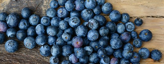 blue Apa itu Superfood, dan Makanan Apa Saja yang Termasuk Superfood Di Jakarta ?